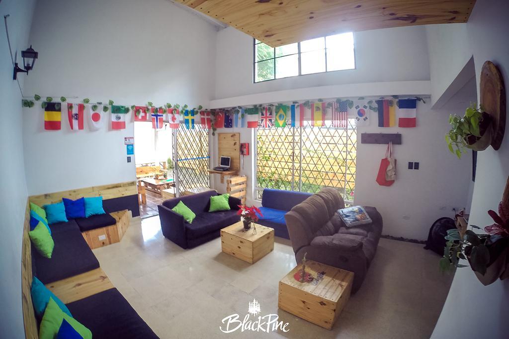 Blackpine Hostel Medellin Exterior photo