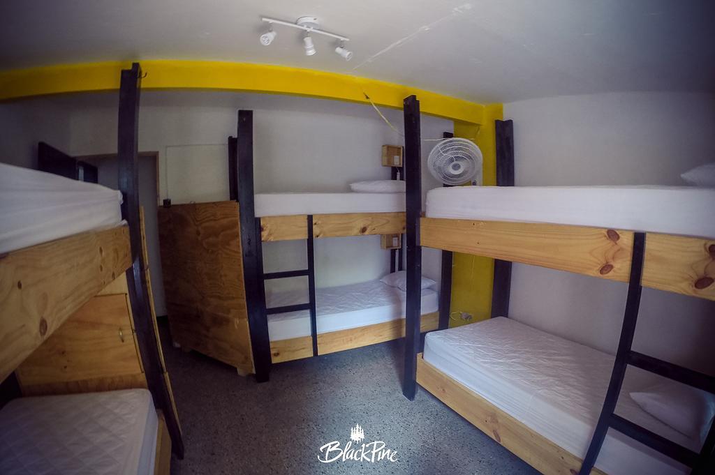 Blackpine Hostel Medellin Exterior photo